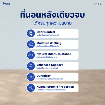 ที่นอนเมมโมรี่โฟม 5 ฟุต NOOZ EVENING LITE EVO หนา 4 นิ้ว_5